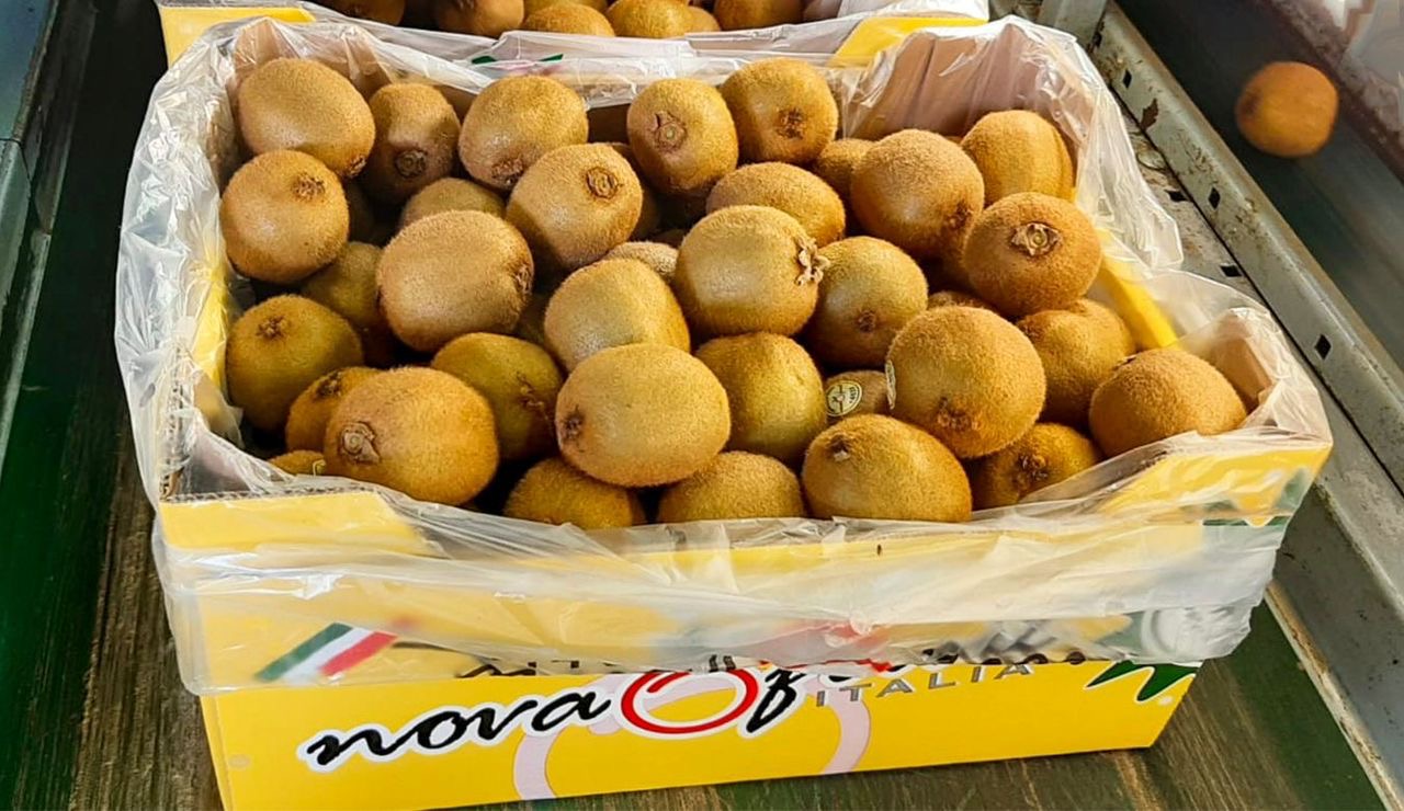 منتجات غذائية