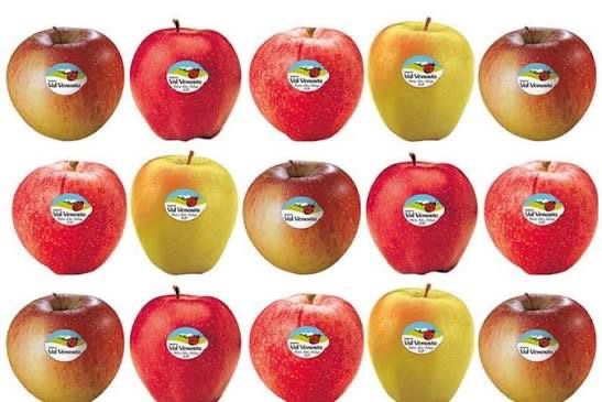 منتجات غذائية