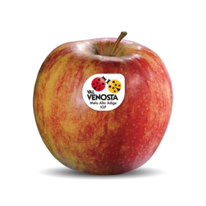 منتجات غذائية